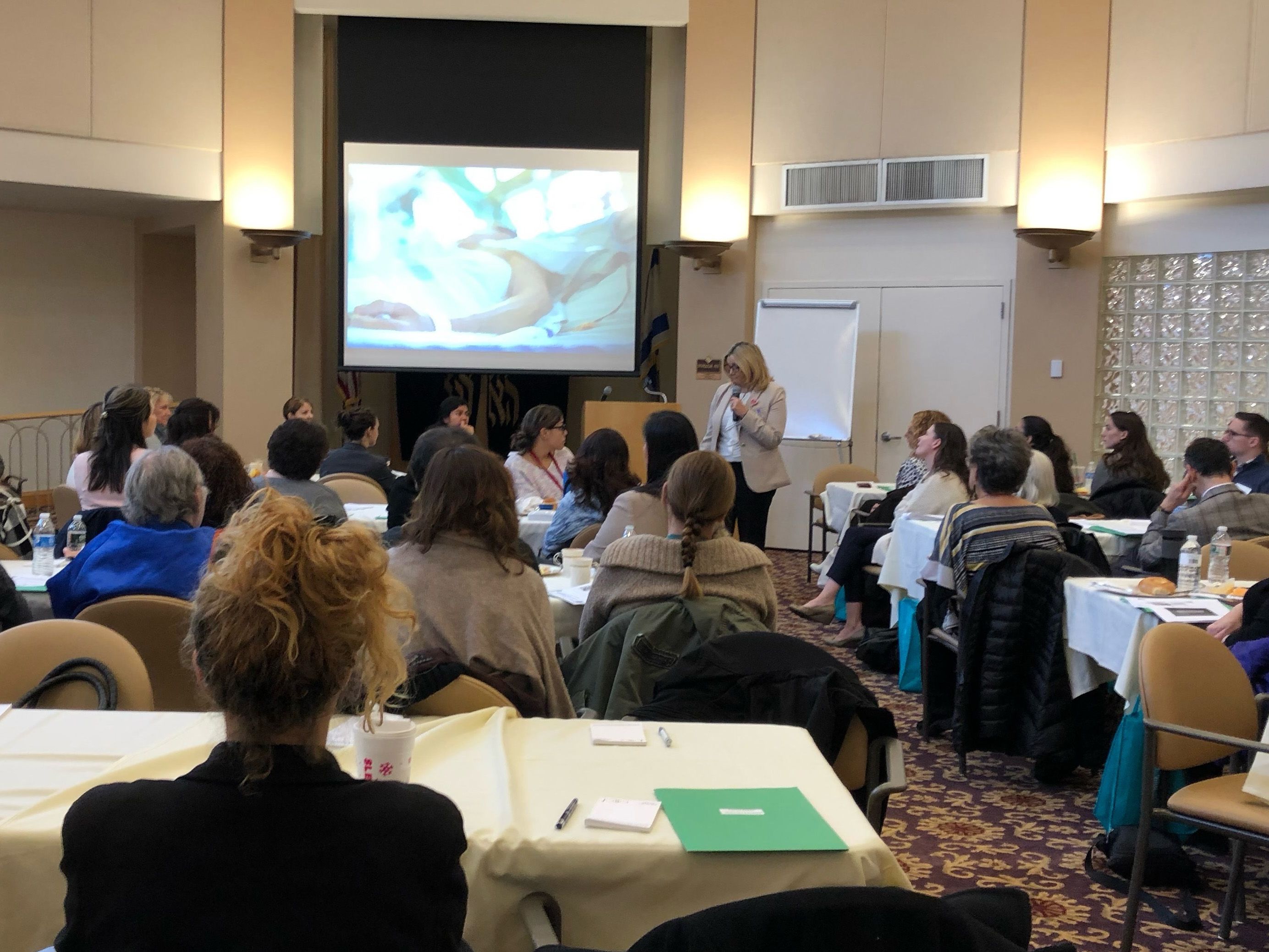 A caregiver's hands gently holding the hands of an elderly person, symbolizing support and compassion.
